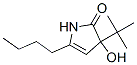 2H-pyrrol-2-one, 5-butyl-3-(1,1-dimethylethyl)-1,3-dihydro-3-hydroxy-(9ci) Structure,210972-58-0Structure