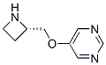 Pyrimidine, 5-[(2s)-2-azetidinylmethoxy]- (9ci) Structure,228866-56-6Structure