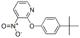 2-[4-(Tert-butyl)phenoxy]-3-nitropyridine Structure,246236-65-7Structure