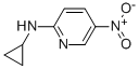 N2-cyclopropyl-5-nitropyridin-2-amine Structure,246862-51-1Structure