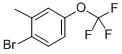 1-Bromo-2-methyl-4-trifluoromethoxybenzene Structure,261951-96-6Structure