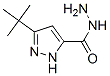 3-(Tert-butyl)-1H-pyrazole-5-carbohydrazide Structure,262292-02-4Structure