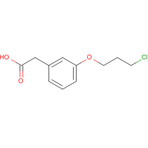 2-[3-(3-Chloropropoxy)phenyl]acetic acid Structure,267658-14-0Structure