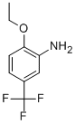 2-Ethoxy-5-(trifluoromethyl)aniline Structure,2713-73-7Structure