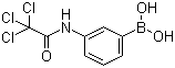 3-(2,2,2-Trichloroacetamido)benzeneboronic acid Structure,276669-74-0Structure