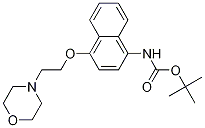 Tert-butyl(4-(2-morpholinoethoxy)naphthalen-1-yl)carbamate Structure,285984-35-2Structure