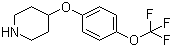 4-[4-(Trifluoromethoxy)phenoxy]piperidine Structure,287952-67-4Structure