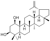 Lup-20(29)-ene-1β,3β-diol Structure,29028-10-2Structure