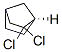 Norbornane, 2,2-dichloro-, (1r)-(-)-(8ci) Structure,29583-37-7Structure