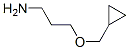 3-(Cyclopropylmethoxy)propan-1-amine Structure,2986-60-9Structure