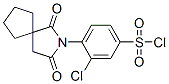 3-Chloro-4-(1,3-dioxo-2-azaspiro[4.4]non-2-yl)benzenesulfonyl chloride Structure,306934-73-6Structure