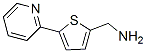 [5-(pyridin-2-yl)thiophen-2-yl]methanamine Structure,306934-92-9Structure