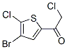 1-(4-Bromo-5-chloro-2-thienyl)-2-chloroethan-1-one Structure,306935-99-9Structure