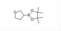 4,4,5,5-Tetramethyl-2-(tetrahydro-3-furanyl)-1,3,2-dioxaborolane Structure,331958-90-8Structure