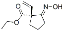 Cyclopentanecarboxylic acid,1-ethenyl-2-(hydroxyimino)-,ethyl ester,(1r)- Structure,335260-40-7Structure