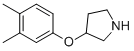 3-(3,4-Dimethylphenoxy)pyrrolidine Structure,337912-65-9Structure