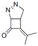 2,3-Diazabicyclo[3.2.0]hept-2-en-7-one,6-(1-methylethylidene)- Structure,344747-77-9Structure