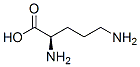 D-ornithine Structure,348-66-3Structure