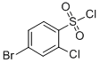 4-Bromo-2-chlorobenzene sulfonyl chloride Structure,351003-52-6Structure