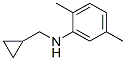 N-(cyclopropylmethyl)-2,5-dimethylaniline Structure,356539-50-9Structure