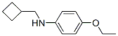 Benzenamine,n-(cyclobutylmethyl)-4-ethoxy-(9ci) Structure,356539-68-9Structure