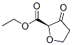 2-Furancarboxylicacid,2-ethyltetrahydro-3-oxo-,(2r)-(9ci) Structure,361460-19-7Structure