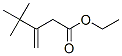 4,4-Dimethyl-3-methylenepentanoic acid ethyl ester Structure,36976-64-4Structure