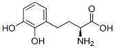 (2S)-2-amino-4-(2,3-dihydroxyphenyl)butanoic acid Structure,372510-81-1Structure