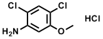 2,4-Dichloro-5-methoxyaniline hydrochloride Structure,379229-30-8Structure