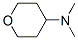 Tetrahydro-N,N-dimethyl-2H-pyran-4-amine Structure,38035-10-8Structure