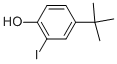 4-(Tert-butyl)-2-iodophenol Structure,38941-98-9Structure