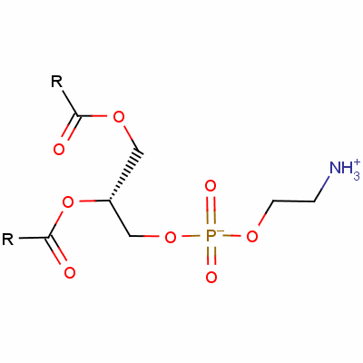 Phosphatidylethanolamine Structure,39382-08-6Structure