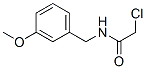 2-Chloro-n-(3-methoxybenzyl)acetamide Structure,40023-02-7Structure