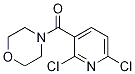 (2,6-Dichloropyridin-3-yl)(morpholino)methanone Structure,415700-14-0Structure