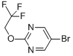 5-Bromo-2-(2,2,2-trifluoroethoxy)pyrimidine Structure,433683-47-7Structure