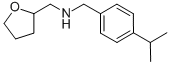 (4-Isopropyl-benzyl)(tetrahydrofuran-2-yl-methyl)amine Structure,436096-82-1Structure