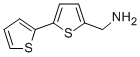 2,2-Bithiophene-5-methylamine Structure,4380-96-5Structure