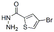 2-Thiophenecarboxylicacid,4-bromo-,hydrazide(9ci) Structure,438219-36-4Structure