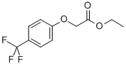 (4-Trifluoromethylphenoxy) acetic acid ethyl ester Structure,442125-30-6Structure