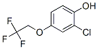 2-Chloro-4-(2,2,2-trifluoroethoxy)phenol Structure,444341-80-4Structure