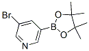 3-Bromopyridine-5-boronic acid pinacol ester Structure,452972-13-3Structure