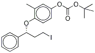 (R)-(2-Methyl-4-tert-butylcarbonate)benzene 1-(1-Phenyl-3-iodopropyl) Ether Structure,457634-26-3Structure