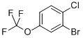 2-Bromo-1-chloro-4-(trifluoromethoxy)benzene Structure,468075-00-5Structure