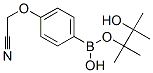 4-Cyanomethoxyphenylboronic acid, pinacol ester Structure,475272-13-0Structure