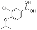 3-Chloro-4-isopropoxyphenylboronic acid Structure,480438-56-0Structure