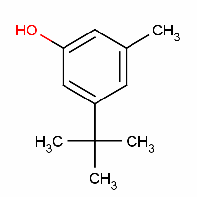 3-Methyl-5-tert-butyl-phenol Structure,4892-31-3Structure