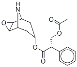 O-acetyl-(-)-norscopolamine Structure,5027-68-9Structure