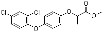 Diclofop-methyl Structure,51338-27-3Structure