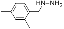 1-(2,4-Dimethylbenzyl)hydrazine Structure,51421-20-6Structure