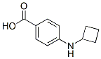 Benzoic acid,4-(cyclobutylamino)-(9ci) Structure,518335-94-9Structure